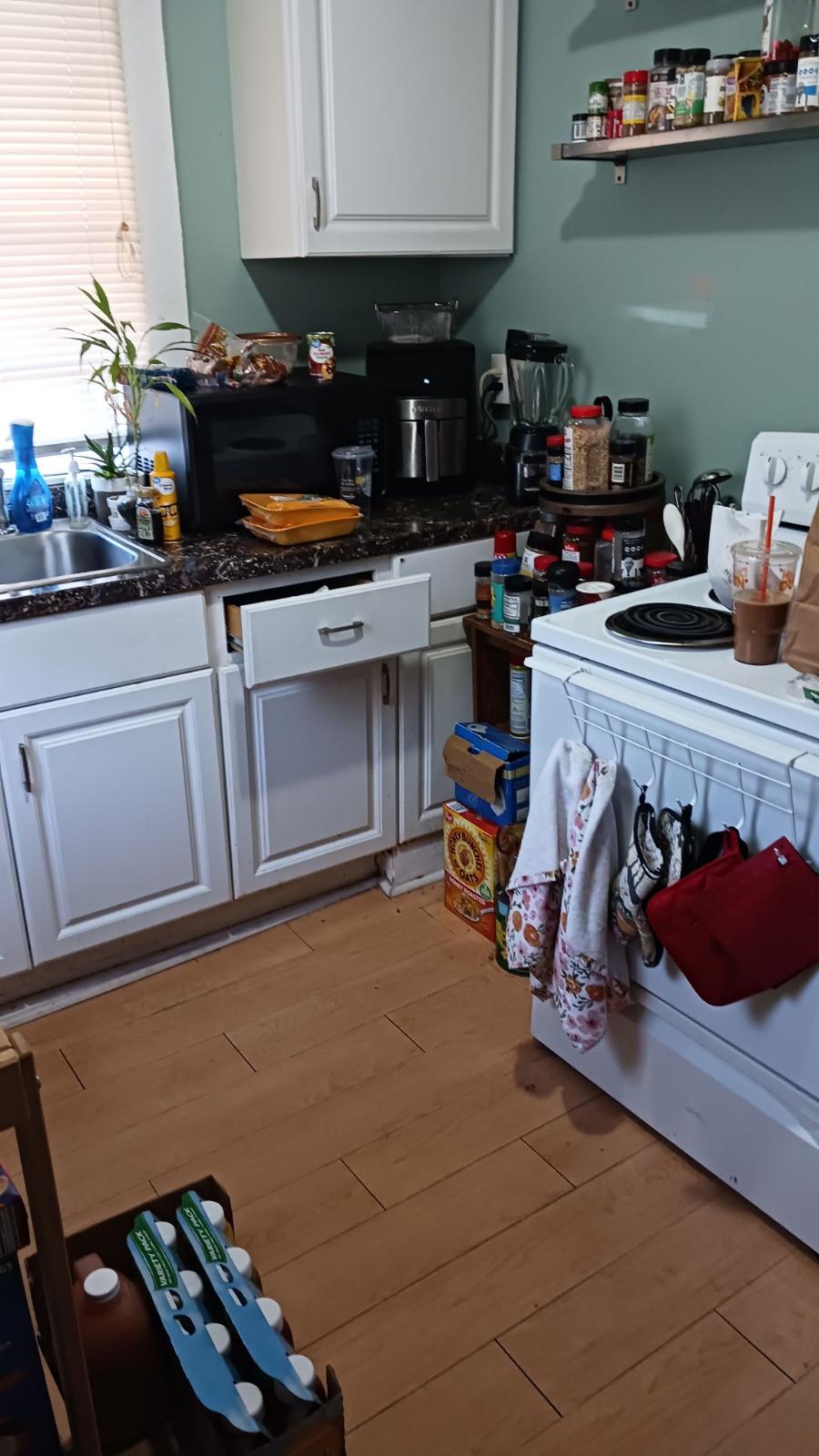 Kitchen before renovation
