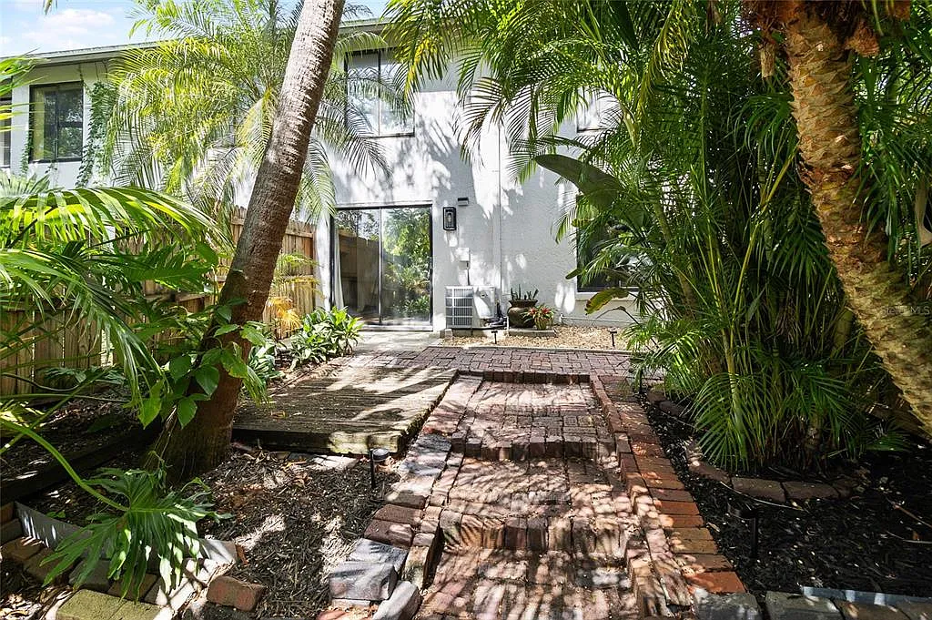Backyard after renovation
