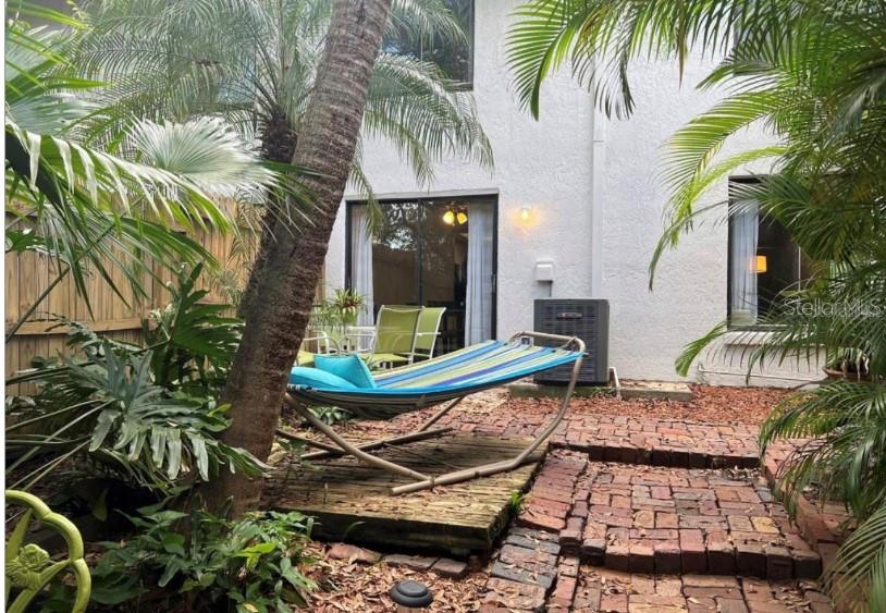 Backyard before renovation